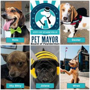 Pet Mayor Board Of Pawldermen