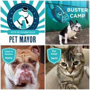 Petmayor Winners