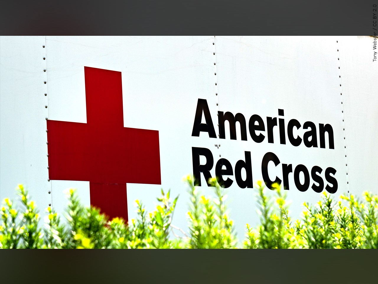 The regional Red Cross looks back on the work of the past year and plans for the next year